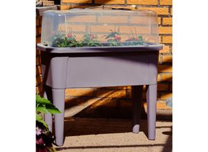 4059865189777 - Hochbeet + Deckel 47L Gewächshaus Frühbeet Kräuterbeet Treibhaus Pflanzkasten