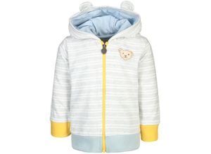 4059991500200 - - Kapuzen-Sweatjacke GÖSTA gestreift in nimbus cloud Gr68