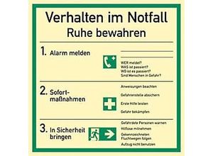 4060081000814 - moedel Notfall- und Rettungsschild Verhalten im Notfall nach DIN EN ISO 7010 Kunststoff langnachleuchtend B 180 x H 180 mm