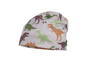 4060109721134 - maximo - Jersey-Beanie DINO in silbermelange Gr49