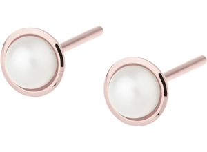 4060267119057 - ERNSTES DESIGN Damen Ohrstecker Edelstahl mit Süßwasser-Zuchtperle roségold