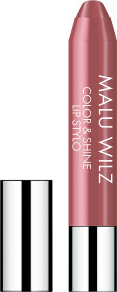 4060425027613 - Color & Shine Lip Stylo 18 g 40 Rosy Brown