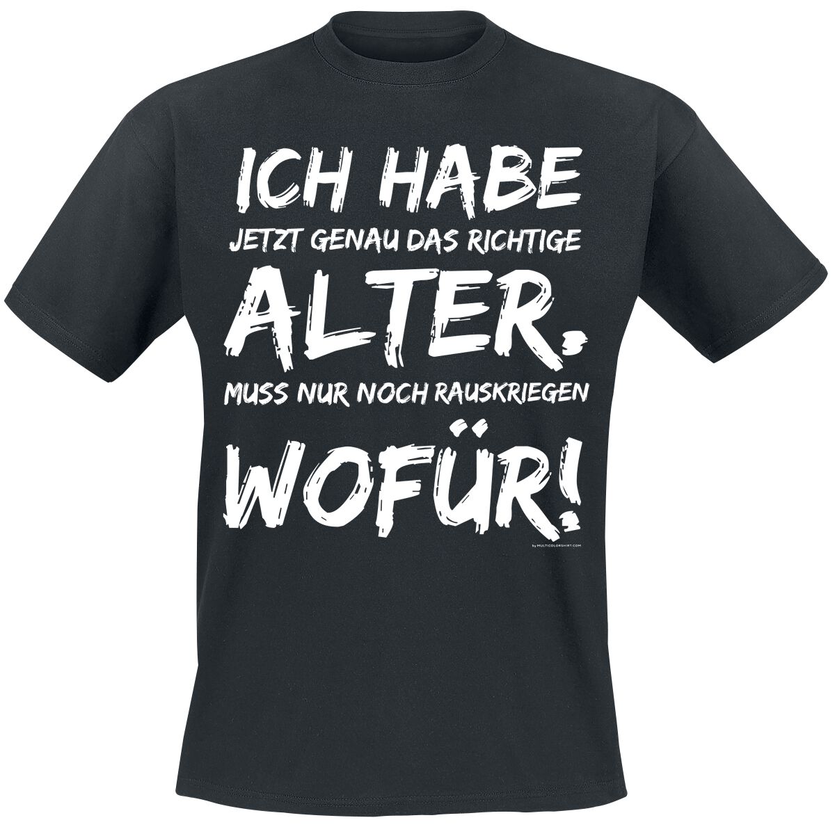 4060587292935 - Sprüche Funshirt - Sprüche - Ich habe jetzt genau das richtige Alter Muss nur noch rauskriegen wofür! T-Shirt schwarz 4060587292935 - Sprüche Funshirt - Sprüche - Ich habe jetzt genau das richtige Alter Muss nur noch rauskriegen wofür! T-Shirt schwarz