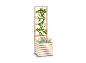 4060656230868 - Modu Grow 50 up Spalier Rankhilfe 50 x 151 x 3 cm kiefer - Gelb - Blumfeldt