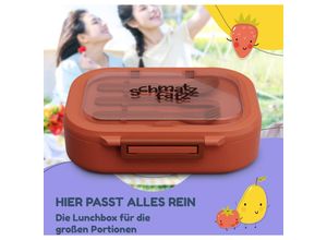 4060656523588 - Schmatzfatz Lunchbox Unterteilte Brotdose für Erwachsene & Kinder Lunchbox mit Fächern Bento-Box für Schule & Kita BPA-Freie Schuldose