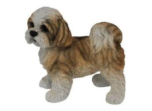 4060898134221 - Dekofigur Shih Tzu Welpe stehend 235 x 145 x 24 cm