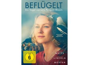 4061229143806 - Glendyn Ivin - GEBRAUCHT Beflügelt - Ein Vogel namens Penguin Bloom - Preis vom 12102023 050950 h