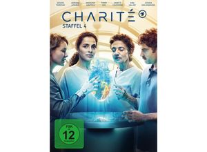 4061229413152 - Charité - Staffel 4 (DVD)