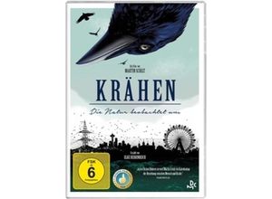 4061229414906 - Krähen - Die Natur beobachtet uns (DVD)