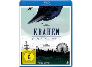 4061229414913 - Krähen (Blu-ray)