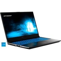 4061275223170 - MEDION Gaming-Notebook ERAZER Crawler E50 Notebooks Gr 16 GB RAM 512 GB SSD Core i5 Windows 11 Home schwarz