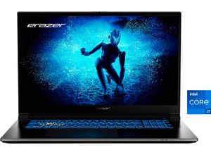 4061275233780 - MEDION Gaming-Notebook ERAZER Defender P50i (MD62678) Notebooks Gr 16 GB RAM 1000 GB SSD Core i7 Windows 11 Home schwarz