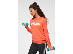 4061619385731 - Große Größen Sweatshirt orange GrM