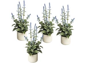 4061753241443 - Salvie im Zementtopf VE 4 Stk Höhe 450 mm Blüten blau