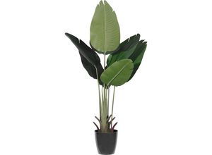 4061753296863 - Bananenbaum Behältnis-Ø 150 mm Höhe 1150 mm kaiserkraft