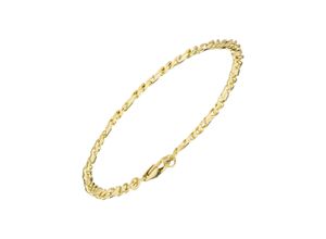 4061861047081 - Goldarmband JOBO Armbänder Gr Gelbgold 333 goldfarben (gelbgold 333) Damen Armbänder Gold 333 massiv 19 cm