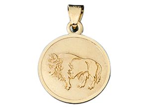 4061861054706 - Sternzeichen-Anhänger JOBO Sternzeichen Stier Schmuckanhänger Gr Gelbgold 333 goldfarben (gelbgold 333) Damen Anhänger 333 Gold