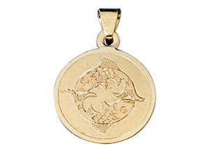 4061861054805 - Sternzeichen-Anhänger JOBO Sternzeichen Fische Schmuckanhänger Gr Gelbgold 333 goldfarben (gelbgold 333) Damen Anhänger 333 Gold