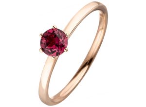 4061861164030 - Fingerring JOBO Fingerringe Gr 50 Roségold 585 rosegold (roségold 585) Damen Fingerringe 585 Roségold mit Rhodolith