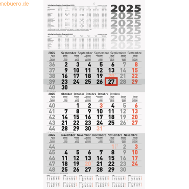 4061947126099 - 3 x 3-Monatskalender Wandkalender 30x58cm einteilig 2025