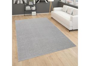 4061981125454 - Teppich Für Wohnzimmer Einfarbig Kurzflor Schlicht Und Modern In Silber 80x250 cm - Paco Home