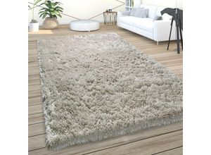 4061981130694 - Paco Home Hochflor Teppich Wohnzimmer Shaggy Pastell Einfarbig Weich Flauschig Grau 80x150 cm