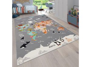 4061981236105 - Teppich Kinderzimmer Kinderteppich Tier Welt Motiv Rutschfest Grau Blau Braun 200 cm Quadrat - Paco Home