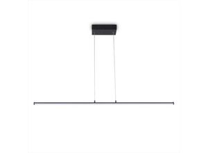 4061981241659 - Led Pendellampe Deko Wohnzimmer Lampe Esstisch Pendelleuchte Büro Zeitlos Modern Typ 4 Schwarz - Weiß - Paco Home