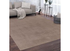 4061981311390 - Waschbarer Teppich Wohnzimmer Kurzflor Einfarbiger Moderner Stil Weich Taupe 160 cm Rund - Paco Home