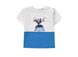 4062108298013 - Kanz - T-Shirt WHALE in white regatta blue Gr68