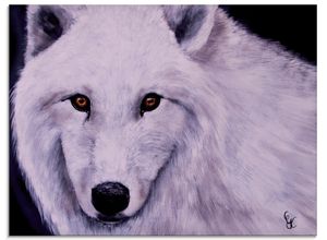 4062144075319 - Glasbild ARTLAND Weißer Wolf Bilder Gr B H 60 cm x 45 cm Glasbild Wildtiere Querformat 1 St weiß Bild Glasbild Glasbilder Bilder in verschiedenen Größen