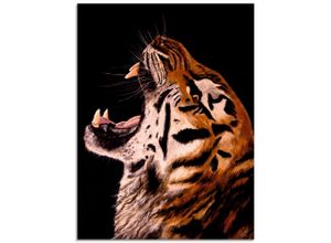 4062144077788 - Glasbild ARTLAND Tiger Bilder Gr B H 60 cm x 80 cm Glasbild Wildtiere Hochformat 1 St braun Bild Glasbild Glasbilder Bilder in verschiedenen Größen