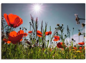 4062144095829 - Wandbild ARTLAND Mohnblumenwiese Bilder Gr B H 90 cm x 60 cm Leinwandbild Blumenwiese 1 St rot Bild Kunstdruck Kunstdrucke Bilder als Alubild Leinwandbild Wandaufkleber oder Poster in versch Größen