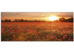 4062144101322 - Glasbild ARTLAND Mohnblumenfeld bei Sonnenuntergang Bilder Gr B H 125 cm x 50 cm Glasbild Blumen 1 St rot Glasbilder in verschiedenen Größen