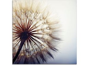 4062144102145 - Glasbild ARTLAND Große Pusteblume Bilder Gr B H 30 cm x 30 cm Blumen 1 St blau Glasbilder Bilder in verschiedenen Größen