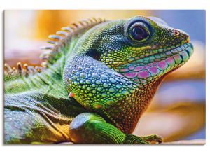 4062144128312 - Wandbild ARTLAND Farbiger Kopf eines Leguan Bilder Gr B H 90 cm x 60 cm Leinwandbild Reptilien Querformat 1 St bunt Bild Poster Bilder als Alubild Leinwandbild Wandaufkleber oder in versch Größen