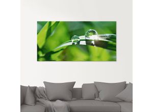 4062144159415 - Glasbild ARTLAND Grüner Hintergrund mit Gras Bilder Gr B H 60 cm x 45 cm Glasbild Gräser 1 St grün Glasbilder in verschiedenen Größen