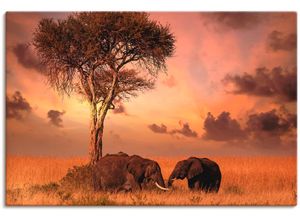 4062144162491 - Wandbild ARTLAND Elefanten zum Abendessen Bilder Gr B H 90 cm x 60 cm Leinwandbild Wildtiere 1 St orange Bild Kunstdruck Kunstdrucke Bilder als Alubild Leinwandbild Wandaufkleber oder Poster in versch Größen