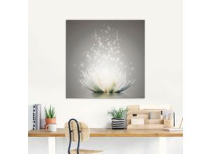 4062144162682 - Glasbild ARTLAND Magie der Lotus-Blume Bilder Gr B H 100 cm x 50 cm Glasbild Blumen 1 St grau Glasbilder in verschiedenen Größen