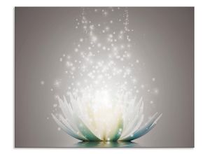 4062144196663 - Küchenrückwand ARTLAND Magie der Lotus-Blume Spritzschutzwände Gr B H 70 cm x 55 cm grau Küchendekoration Alu Spritzschutz mit Klebeband einfache Montage