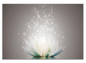 4062144196700 - Küchenrückwand ARTLAND Magie der Lotus-Blume Spritzschutzwände Gr B H 80 cm x 55 cm grau Küchendekoration Alu Spritzschutz mit Klebeband einfache Montage