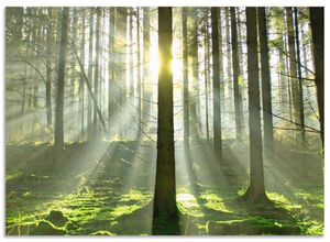 4062144199183 - Küchenrückwand ARTLAND Wald im Gegenlicht Spritzschutzwände Gr B H 70 cm x 50 cm grün Küchendekoration Alu Spritzschutz mit Klebeband einfache Montage