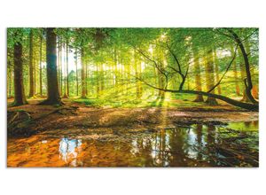 4062144200667 - Küchenrückwand ARTLAND Wald mit Bach Spritzschutzwände Gr B H 90 cm x 50 cm grün Küchendekoration Alu Spritzschutz mit Klebeband einfache Montage