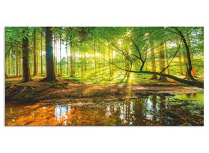 4062144200704 - Küchenrückwand ARTLAND Wald mit Bach Spritzschutzwände Gr B H 100 cm x 50 cm grün Küchendekoration Alu Spritzschutz mit Klebeband einfache Montage