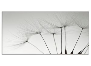 4062144203255 - Küchenrückwand ARTLAND Pusteblumen-Samen I Spritzschutzwände Gr B H 100 cm x 50 cm grau Küchendekoration Alu Spritzschutz mit Klebeband einfache Montage