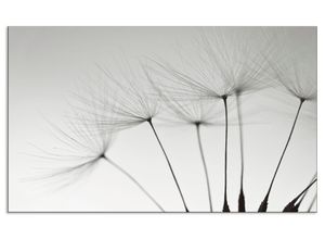 4062144203279 - Küchenrückwand ARTLAND Pusteblumen-Samen I Spritzschutzwände Gr B H 100 cm x 60 cm grau Küchendekoration Alu Spritzschutz mit Klebeband einfache Montage