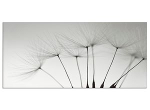 4062144203347 - Küchenrückwand ARTLAND Pusteblumen-Samen I Spritzschutzwände Gr B H 120 cm x 55 cm grau Küchendekoration Alu Spritzschutz mit Klebeband einfache Montage