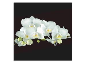 4062144204511 - Küchenrückwand ARTLAND Weiße Orchidee auf schwarzem Hintergrund Spritzschutzwände Gr B H 60 cm x 60 cm weiß Küchendekoration Alu Spritzschutz mit Klebeband einfache Montage