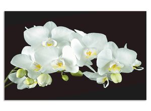 4062144204573 - Küchenrückwand ARTLAND Weiße Orchidee auf schwarzem Hintergrund Spritzschutzwände Gr B H 80 cm x 50 cm weiß Küchendekoration Alu Spritzschutz mit Klebeband einfache Montage