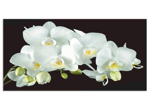 4062144204702 - Küchenrückwand ARTLAND Weiße Orchidee auf schwarzem Hintergrund Spritzschutzwände Gr B H 110 cm x 55 cm weiß Küchendekoration Alu Spritzschutz mit Klebeband einfache Montage